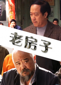 vip在线破解